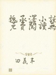 魏承泽小说全文免费阅读无弹窗笔趣