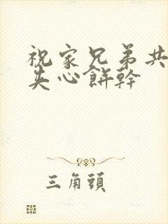 祝家兄弟共享后夹心饼干