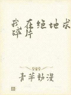 我在绝地求生捡碎片封面