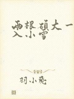 两根硕大一起挤入小雪封面