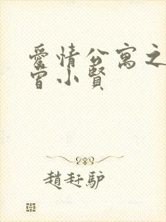 爱情公寓之极品曾小贤