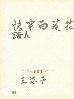 快穿白莲花的引诱h