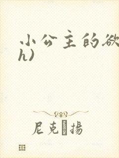 小公主的欲奴(h)