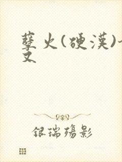 孽火(硬汉)今又