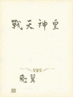 战天神皇封面