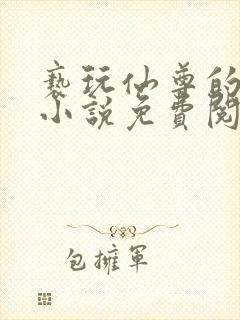 亵玩仙尊的道侣小说免费阅读