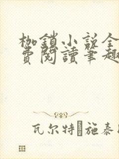 枷锁小说全文免费阅读笔趣阁封面