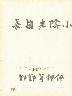 长日光阴小说