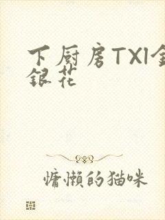 下厨房TXl金银花