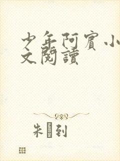 少年阿宾小说全文阅读