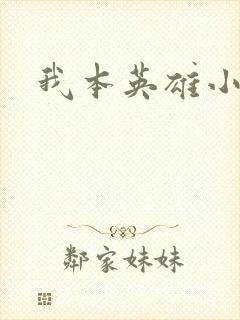 我本英雄小说
