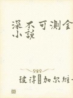 深不可测金银花小说