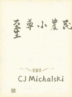 至尊小农民王木生