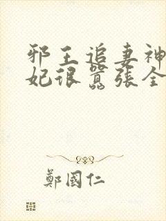 邪王追妻神医狂妃很嚣张全文免费