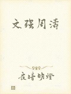 文强周涛封面