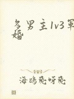 多男主1v3军婚封面