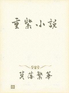 重紫小说
