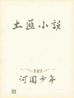 土匪小说