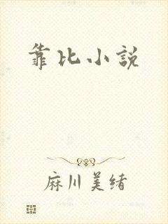 靠比小说