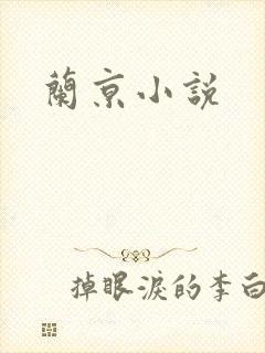 兰京小说封面