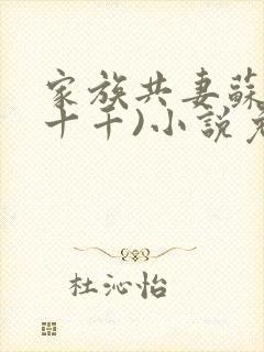 家族共妻苏苏(十千)小说免费