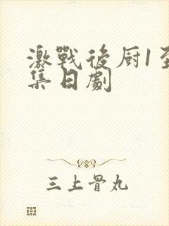 激战后厨1至5集日剧