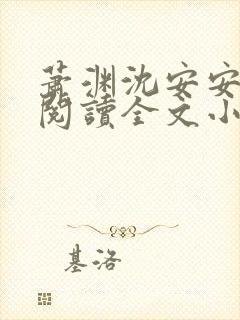 萧渊沈安安免费阅读全文小说封面