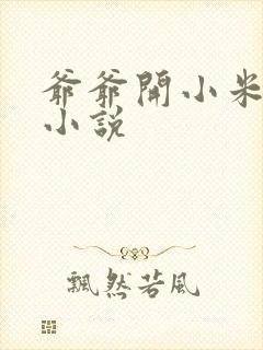 爷爷开小米的包小说封面