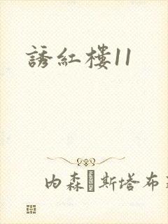 诱红楼11