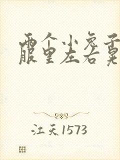 两个小兔子在衣服里左右晃