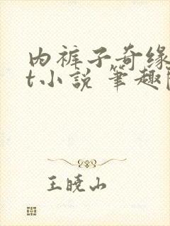 内裤子奇缘txt小说 笔趣阁