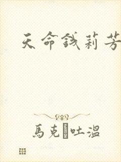 天命钱莉芳封面