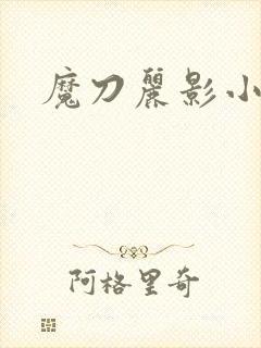 魔刀丽影小说