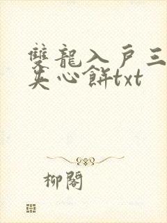 双龙入户三人行夹心饼txt