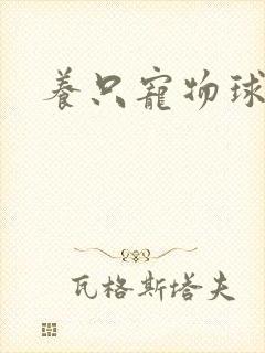 养只宠物球封面