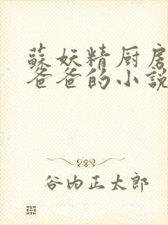 苏妖精厨房爹爹爸爸的小说