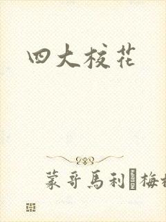 四大校花封面