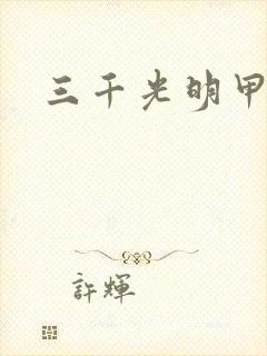 三千光明甲