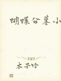 蝴蝶公墓小说封面