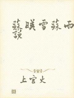 苏映雪苏雨柔小说封面