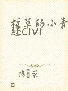 校草的小青梅不经C1V1