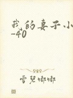 我的妻子小谨1-40