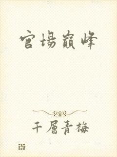 官场巅峰