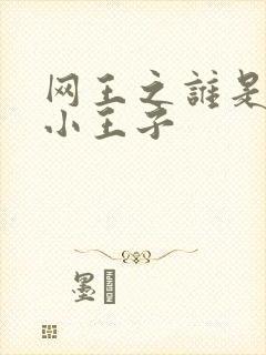网王之谁是我的小王子