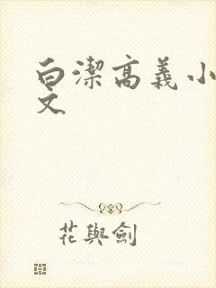 白洁高义小说全文封面