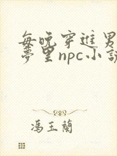 每晚穿进男神的梦里npc小说封面