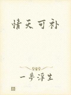 情天可补