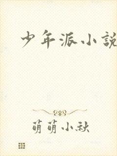 少年派小说封面