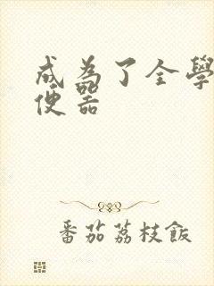 成为了全学校坐便器