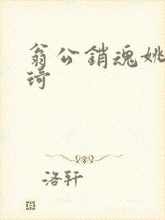 翁公销魂姚瑶琦琦封面